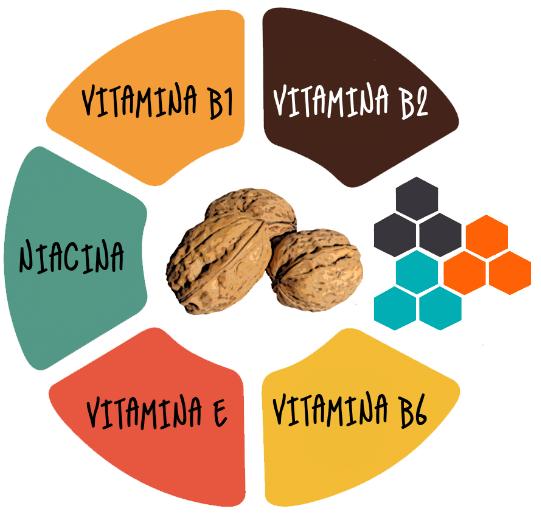 vitaminas-estudio-2