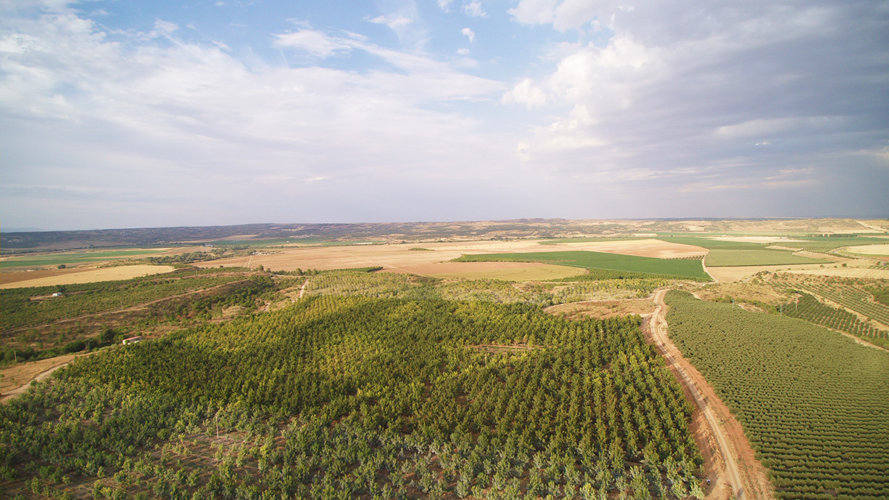 nueces-medio-tajo8